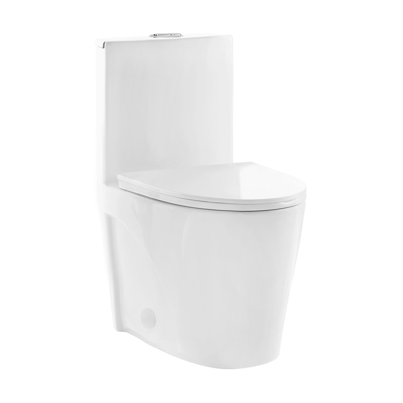 St. Tropez® DualFlush Elongated OnePiece Toilet (Seat Included